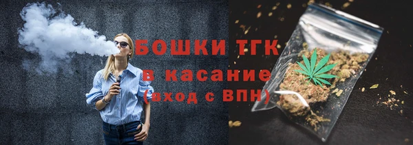 индика Аркадак